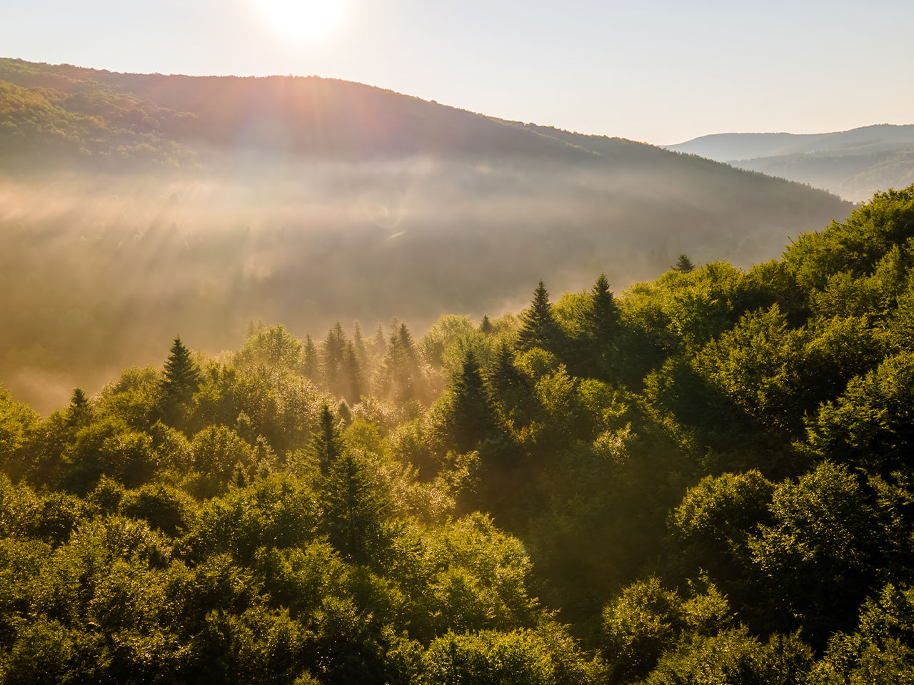 Appalachian mountain landscape
