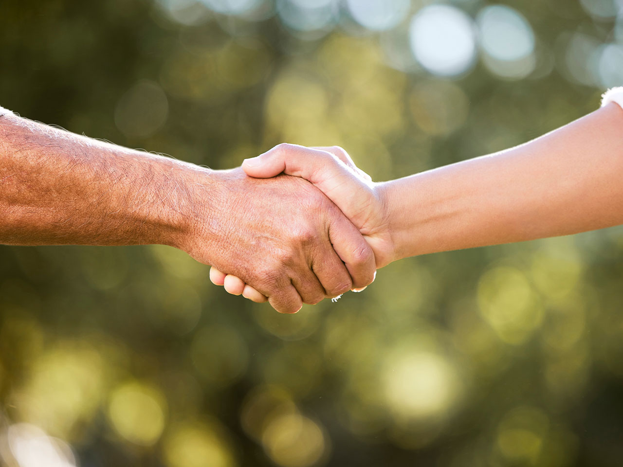Two people shaking hands