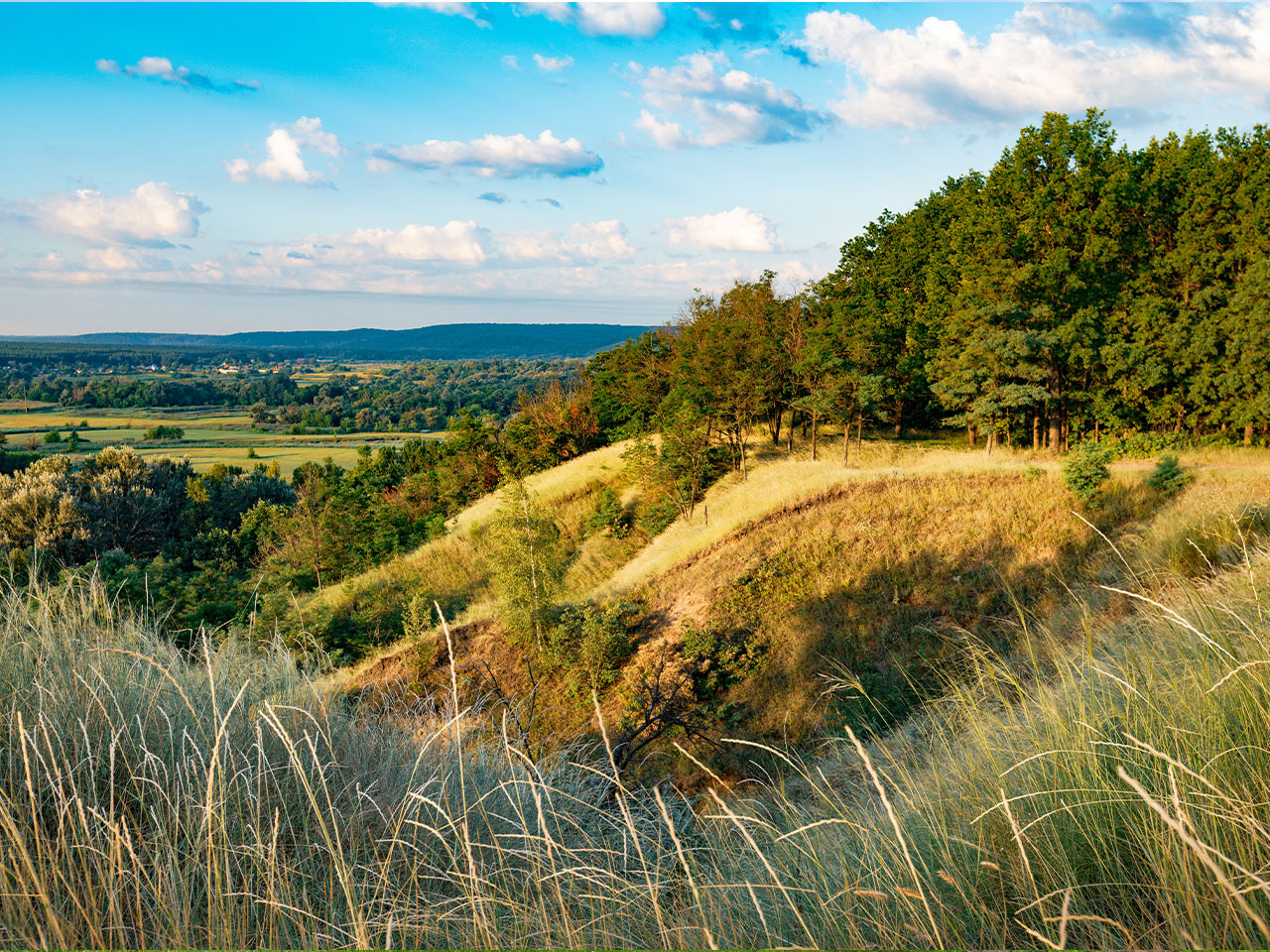 Pennsylvania farmland
