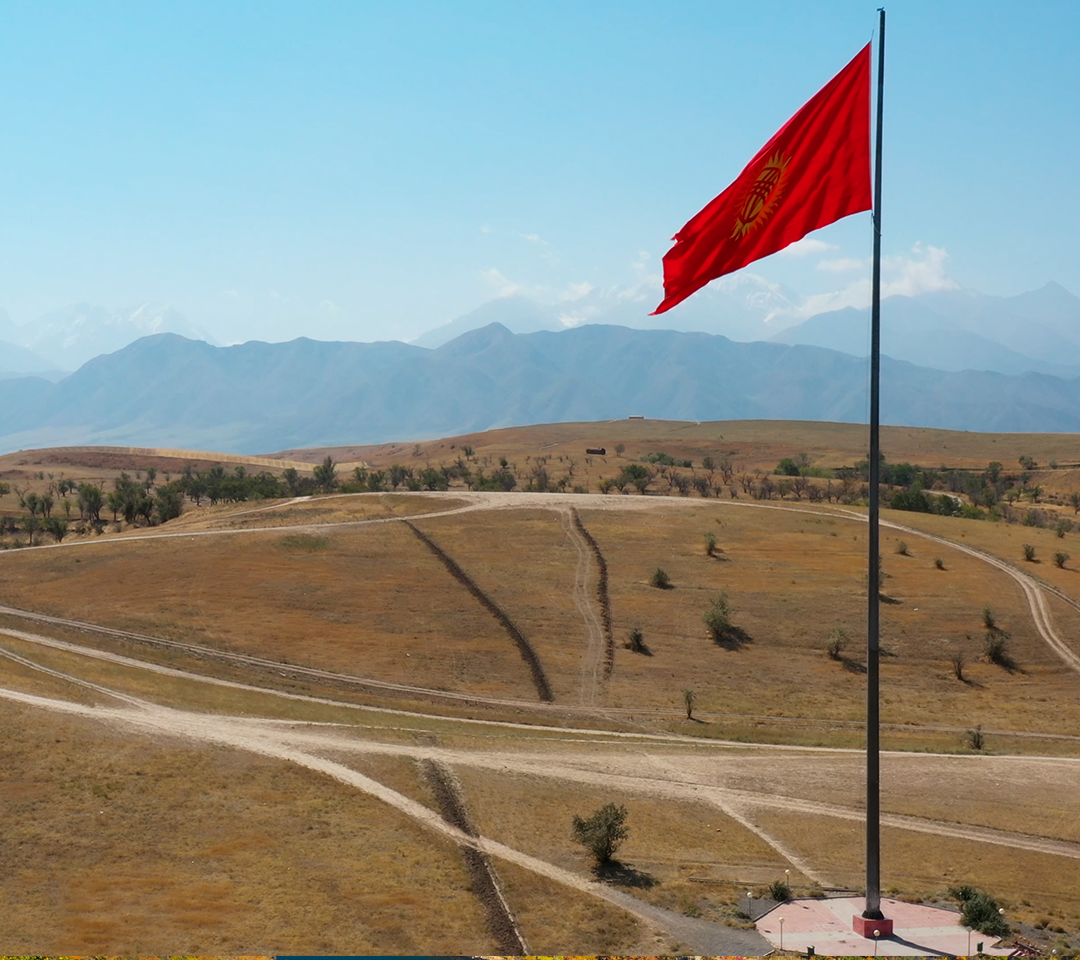 Red flag on a hill with dead grass, symbolizing warning signs in mineral rights transactions.